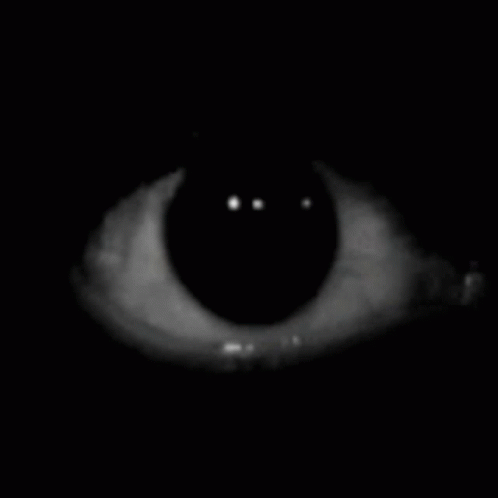 Eye
